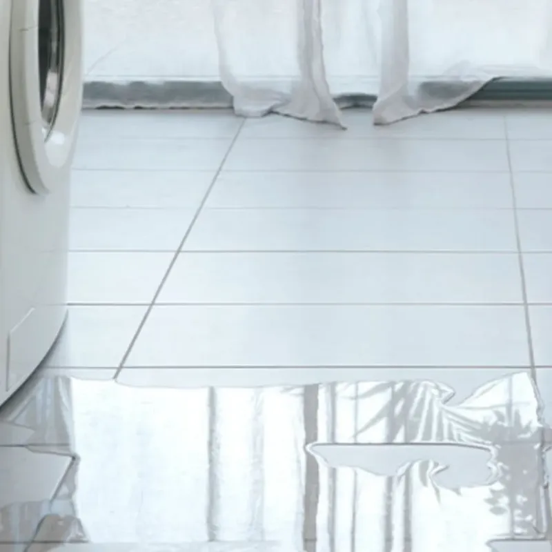 Appliance Leak Cleanup in Seeley, CA